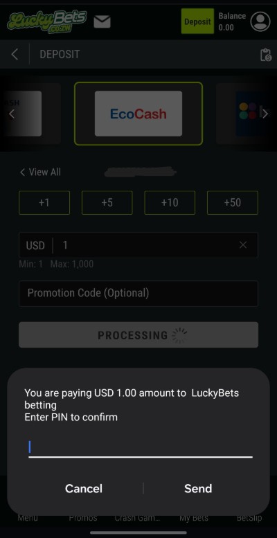 LuckyBet Ecocash Deposit - Confirm PIN
